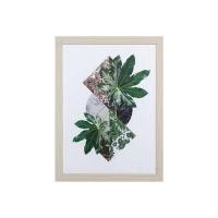 ราคา ภาพติดฝาผนัง CHIC REPUBLIC รุ่น GREEN TROPICAL-B/45X60 (888122800160)
