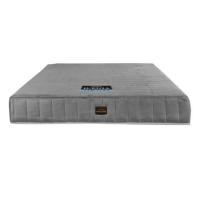 ราคา ที่นอน 3.5 ฟุต BEDISUPREME รุ่น ICEGIA หนา 9 นิ้ว หุ้มผ้า COTTON VELOUR (888120800267)