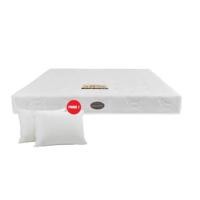 ราคา ที่นอน 6 ฟุต BEDISUPREME รุ่น ATLAN หนา 4.5 นิ้ว หุ้มผ้าแจ๊คการ์ด (888120800281)