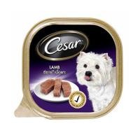 ราคา อาหารเปียกสุนัข CESAR DOG LAMB 100 ก. (1203109)