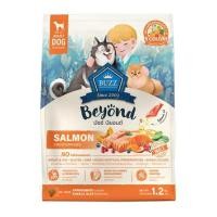 ราคา อาหารสุนัข BUZZ BEYOND ADULT DOG SALMON 1.2 กก. (1292331)