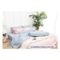 ราคา ชุดผ้าปูที่นอน 5 ฟุต (ชุด 6 ชิ้น) SANTA BEDDING สี LIGHT BLUE/PINK (1292685)