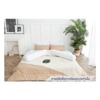ราคา ชุดผ้าปูที่นอน 5 ฟุต (ชุด 6 ชิ้น) SANTA BEDDING สี WHITE/BROWN (1292747)