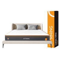 ราคา ที่นอนยางพาราแท้ ผสานสปริงพรีเมี่ยม 3.5ฟุต MORNING LATEX ELITE LITE หนา 8 นิ้ว (888170800101)