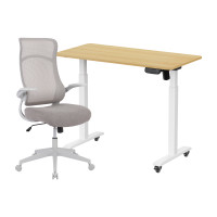 ราคา เซ็ตโต๊ะปรับระดับไฟฟ้า มีล้อ LUNIO ERGO SPACE II (SIZE 120 X 60 CM) + เก้าอี้ทำงานเพื่อสุขภาพ ADAM DOT.2 ERGO CHAIR GRAVITY (สีเทา) (888170800307)