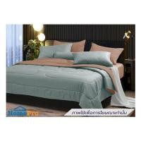 ราคา ชุดผ้าปูที่นอน 5 ฟุต (ชุด 6 ชิ้น) STEVENS SOFTEX ON16GN (1298889)