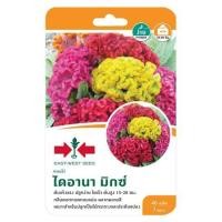 ราคา เมล็ดพันธุ์หงอนไก่ ไดอานา มิกซ์ ศรแดง (1229566)