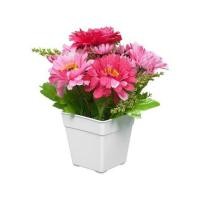 ราคา ดอกไม้ประดิษฐ์ในกระถาง ME LIVING DAISY สีชมพู (1135745)