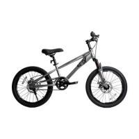 ราคา จักรยานเด็ก 20 นิ้ว QITONG TN24Q22 สีเทา (1285360)