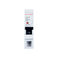 ราคา เซอร์กิตเบรกเกอร์ 45 แอมป์ 1 โพล 6KA เซฟ-ที-คัท สมาร์ท รุ่น US สีขาว (888191100063)