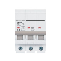 ราคา เซอร์กิตเบรกเกอร์ 16 แอมป์ 3 โพล 10KA เซฟ-ที-คัท สมาร์ท รุ่น US สีขาว (888191100081)