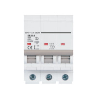 ราคา เซอร์กิตเบรกเกอร์ 50 แอมป์ 3 โพล 10KA เซฟ-ที-คัท สมาร์ท รุ่น US สีขาว (888191100089)