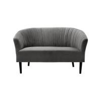 ราคา โซฟา 2 ที่นั่ง RINA HEY รุ่น ANNETT-PLUS/2 สีเทาซิลเวอร์ (888122800888)