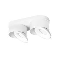 ราคา ดาวน์ไลท์ LED CARINI ZR-DP430-2 10 นิ้ว 16 วัตต์ DAYLIGHT/COOL WHITE/WARM WHITE สีขาว (1263686)