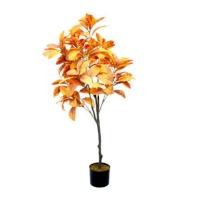 ราคา ต้นไม้ประดิษฐ์ในกระถาง CHIC REPUBLIC รุ่น CROTON TREE/120 สีน้ำตาลอ่อน (888122801934)