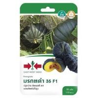 ราคา ฟักทองลูกผสม F1 มรกตดำ 35 ศรแดง (1153791)