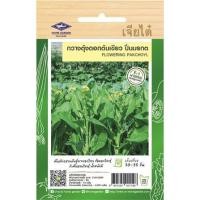 ราคา เมล็ดพันธุ์กวางตุ้งดอกต้นเขียว ปิ่นมรกต ตราเจียไต๋ โฮมการ์เด้น 10 ก. (1255645)