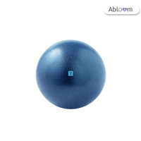 ราคา ลูกบอลพิลาทิสขนาดเล็ก ABLOOM 0160010005010 (888125000298)
