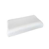 ราคา หมอนยางพารา SOLOMON ผ้ากันน้ำ รุ่น LATEX WATERPROOF (888128200229)