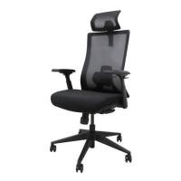 ราคา เก้าอี้สุขภาพ BEWELL FROZEN สีดำ (1243280)