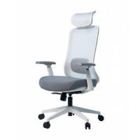 ราคา เก้าอี้สุขภาพ ERGOTREND GLACIER สีขาว (1304214)