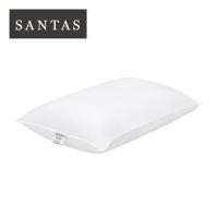 ราคา หมอนหนุน ใยสังเคราะห์ SANTAS MICROGEL FIRM 19x29 นิ้ว สีขาว (1051376)