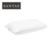 ราคา หมอนหนุน ใยสังเคราะห์ SANTAS MICROGEL LUXURY 19x29 นิ้ว สีขาว (1051433)