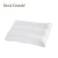 ราคา หมอนสุขภาพ ใยสังเคราะห์ SERA GRANDE NANO GEL 17x25 นิ้ว สีขาว (1154638)