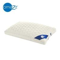 ราคา หมอนสุขภาพ นาโนดาวน์ OMAZZ ZEN MEDIUM 20x30 นิ้ว สีขาว (1247337)