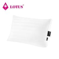 ราคา หมอนสุขภาพ ไมโครดาวน์เนีย LOTUS ATTITUDE CARE FIRM 20x30 นิ้ว สีขาว (1247354)