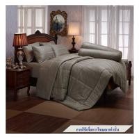 ราคา ชุดผ้าปูที่นอน 5 ฟุต 5 ชิ้น JESSICA STRIPE 20075-STONE GRAY (1249443)