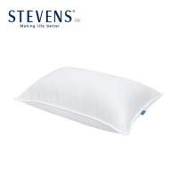 ราคา หมอนสุขภาพ ขนห่าน PICASSO GOOSEDOWN FIRM 19x29 นิ้ว สี WHITE (1294344)