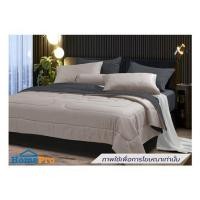 ราคา ชุดผ้าปูที่นอน 3.5 ฟุต (ชุด 4 ชิ้น) STEVENS SOFTEX ON16BI (1303962)