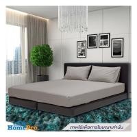 ราคา ชุดผ้าปูที่นอน 6 ฟุต (ชุด 5 ชิ้น) STEVENS SOFTEX ON16BI (1303870)