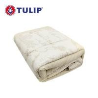 ราคา ผ้านวม TULIP BEAUTY AND THE BEAST 60x80 นิ้ว 60258-DLD045 (1306753)