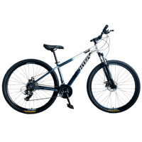 ราคา จักรยานเสือภูเขา RICHTER BOZA ขนาดวงล้อ 29 นิ้ว ไซส์ 15.5 ขาวเทา (888190900025)