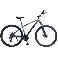 ราคา จักรยานเสือภูเขา RICHTER BOZA ขนาดวงล้อ 29 นิ้ว ไซส์ 15.5 เทา (888190900031)