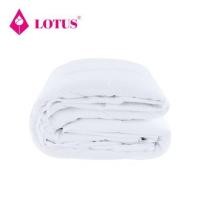 ราคา ผ้ารองกันเปื้อน TWIN SIZE LOTUS FULL FIT PERFECT SLEEP สีขาว (1297779)