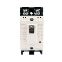 ราคา เซอร์กิตเบรกเกอร์ 2 โพล 1 เฟส TAKAMURA TNF30CS 30 แอมป์ 2.5 KA 220V (1283398)