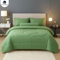 ราคา ชุดผ้าปูที่นอน 3.5 ฟุต 4 ชิ้น CHARM สี SAGE GREEN คอลเลคชั่น CLASSIC (888127600085)