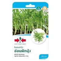 ราคา เมล็ดพันธุ์ต้นอ่อนผักบุ้ง ศรแดง (1229596)