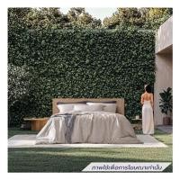 ราคา ชุดผ้าปูที่นอน 5 ฟุต (ชุด 5 ชิ้น) DUNLOPILLO VERONA VRN-01 (1294305)