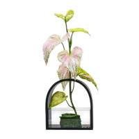 ราคา ใบบอนประดิษฐ์ผ้าจัดในแจกัน JGLORYFLOWER สีชมพู แจกันดำ (888217500005)