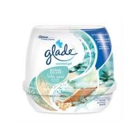 ราคา เจลปรับอากาศ GLADE SCENTED 180 กรัม OCEANESCAPE (1006312)