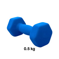 ราคา ดัมเบลผู้หญิง HOMEFITTOOLS ขนาด 0.5 KG 2 ชิ้น คละสี (888139600191)