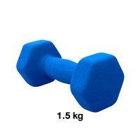 ราคา ดัมเบลผู้หญิง HOMEFITTOOLS ขนาด 1.5 KG 1 ชิ้น คละสี (888139600193)