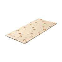 ราคา ที่นอนปิกนิก SNAZZ LITTLE-B 90x180 ซม. สี BROWN (1302650)