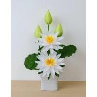 ราคา ดอกบัวประดิษฐ์ผ้าในแจกัน JGLORYFLOWER สีขาว แจกันเซรามิกทรงสี่เหลี่ยม (888217500017)