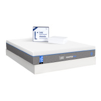 ราคา ที่นอนยางพาราอัลตร้าไฮบริด LUNIO QUANTUM MAX มาพร้อมผ้ารองกันเปื้อนกันน้ำ รุ่น LUNIO SMARTGUARD PROTECTOR ขนาด 6 ฟุต (888170800267)