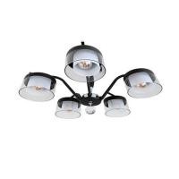 ราคา ไฟถาด NEOLIGHT 06462-5 สีดำ/เงิน/ขาว 5 หัว (1233501)